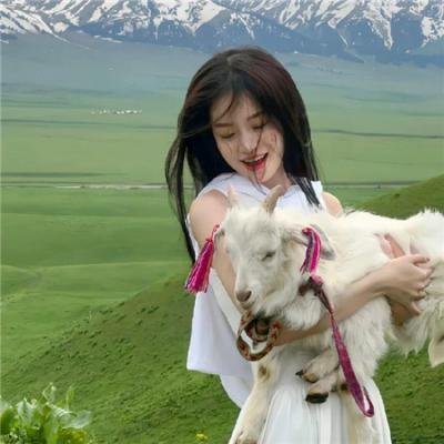 盖尔芒特家情事